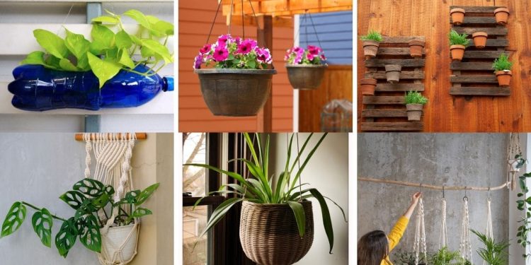 18 Methods to Cling Your Crops Small House Gardening Concepts