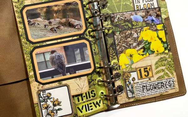 Nature Traveler’s Pocket book – Scrap Reserving