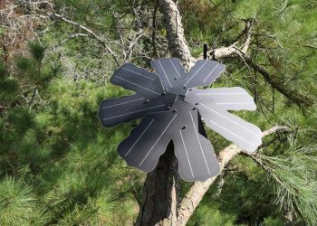 Sounding out the combat towards local weather change : Innovation