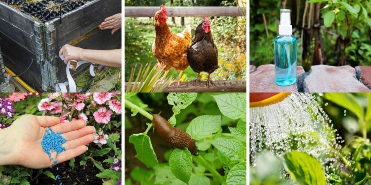 8 Genius Hacks for Maintaining Slugs Out of Your Backyard