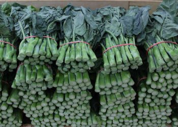 33 Asian Greens You Ought to Develop