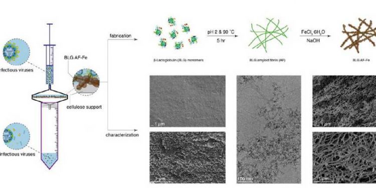 A brand new filter membrane is very environment friendly at filtering and inactivating all kinds of air-?borne and water-?borne viruses