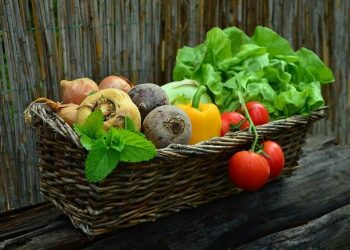 10 Natural Produce You Can Develop in your Backyard this Summer time