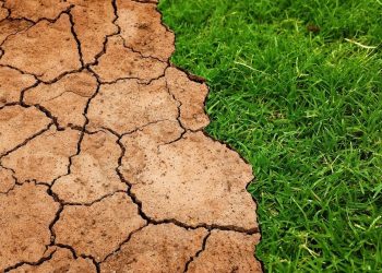 The Largest Diversifications We Have to Make to Accommodate Local weather Change