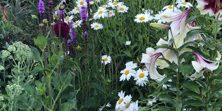 9 Schooling Instruments Easy methods to Hold Your Backyard Wholesome