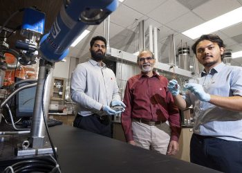 A primary-of-its-kind ‘dwelling’ transistor chip