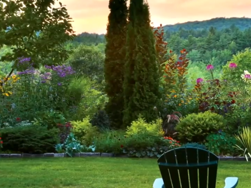 Tour a backyard the place annual and tropical vegetation steal the present