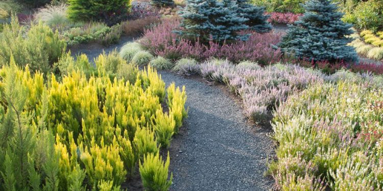 Brian Minter: Crops for winter color and feeding wildlife