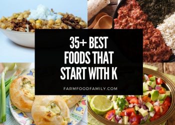 35 Finest Meals That Begin With Okay (Fruits, Appetizers, Desserts)