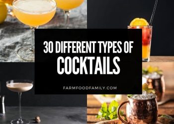 30 Totally different Varieties of Cocktails In The World (With Photos)