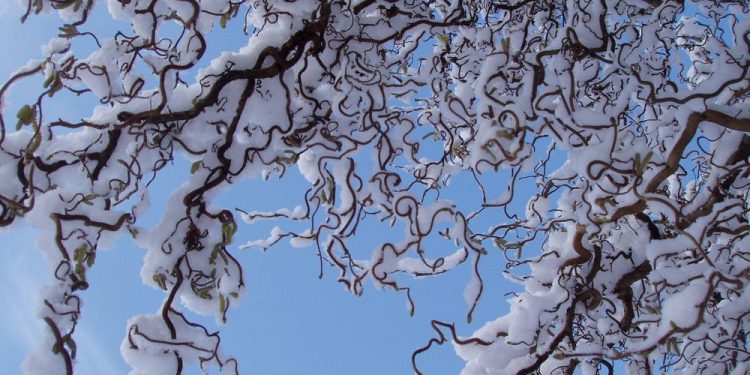 Brian Minter: Coping with excessive climate patterns is changing into the norm