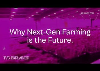 Vertical Farming permits for sooner, extra managed manufacturing, regardless of season. Vertical Farming is thus thought to be a sensible future farming system, which can supply the secure mannequin wanted for future meals manufacturing, to supply for the three billion enhance in inhabitants predicted by 2050 : Innovation