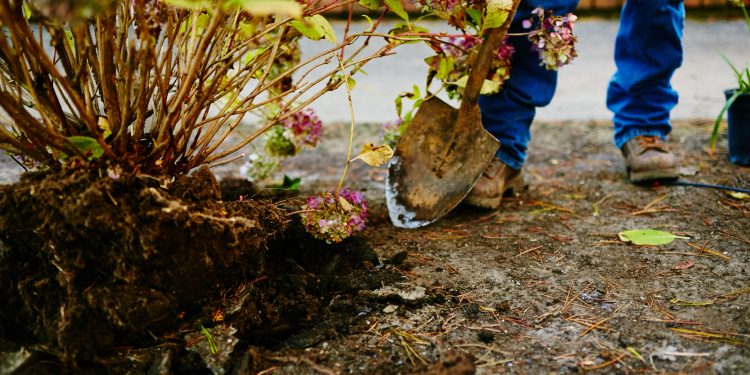 Seven Steps for a Incredible Fall Backyard