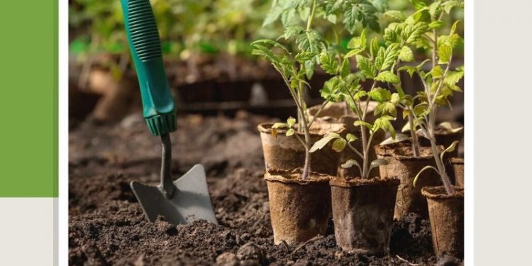 Gardening By Intuition