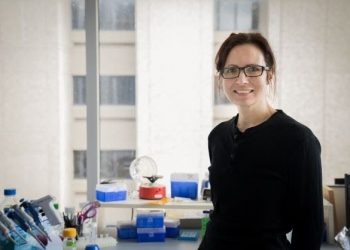 Kate Adamala on Creating Synthetic Life : Innovation