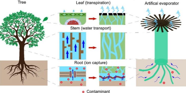 Fixing the world’s soil air pollution downside with a mud low cost photo voltaic evaporation know-how