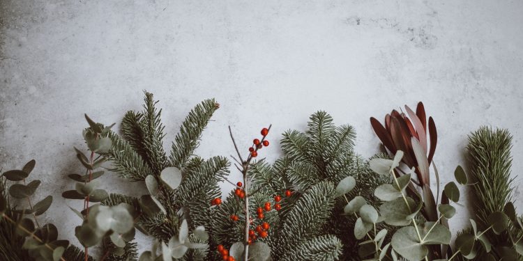 Espoma | Plant-Centric Picks for Decking Your Halls This Season
