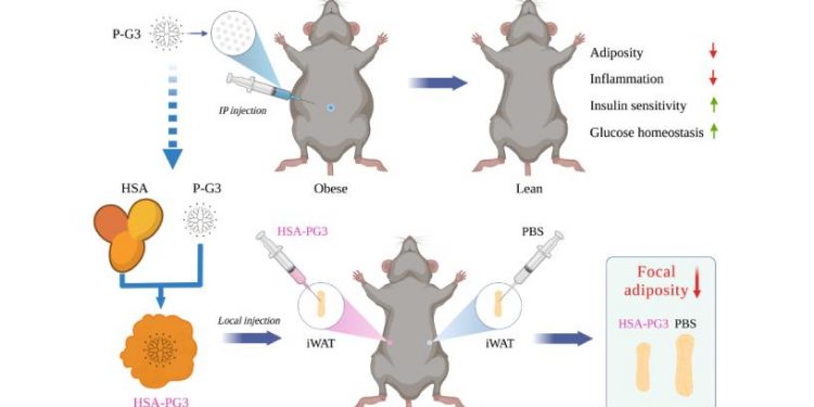 A significant advance in treating weight problems