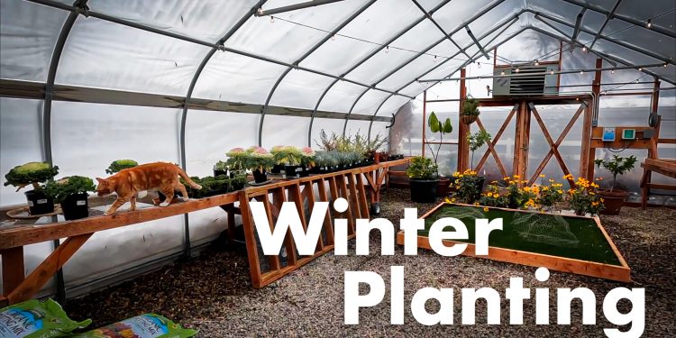Espoma | VIdeo: Winter Plant Initiatives with Backyard Reply