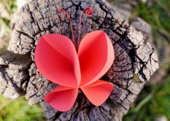 Easy DIY Paper Butterfly Youngsters Craft