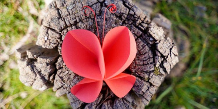 Easy DIY Paper Butterfly Youngsters Craft