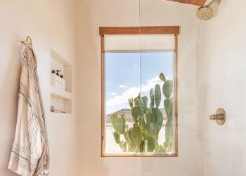 A Glowing Clear: The Finest Cleaners For Glass Bathe Doorways