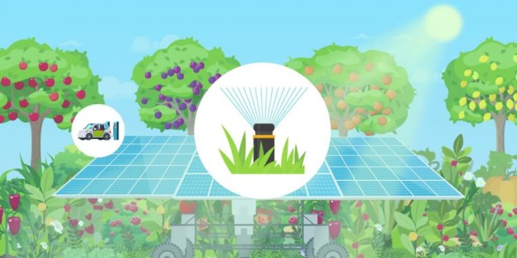 Synecoculture farming might change a number of issues with a sowing, pruning and harvesting robotic