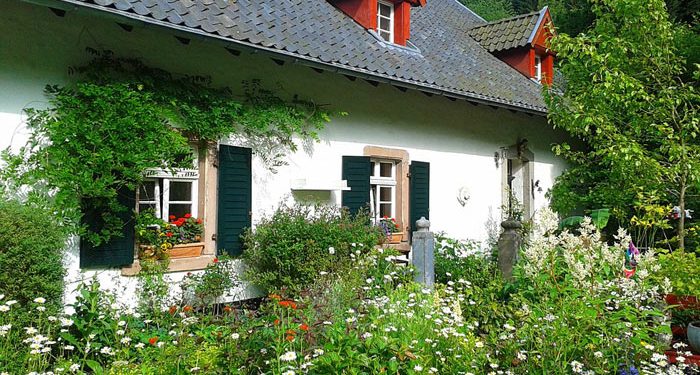 Planning Cottage Gardens – Historical past, Spring, Summe, Herbs and Rose Crops