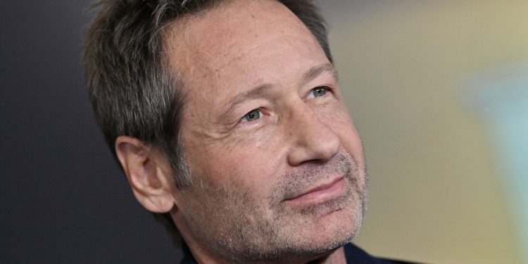 David Duchovny Sells Higher West Facet Co-Op for $5.65 Million