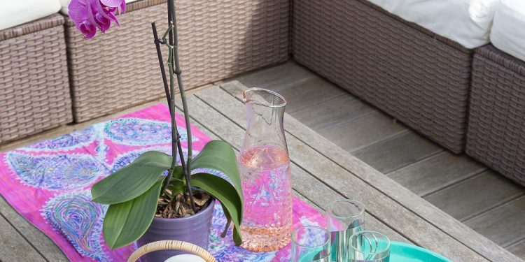 Can a houseplant change your luck? That is what Feng Shui has to say, in line with the consultants
