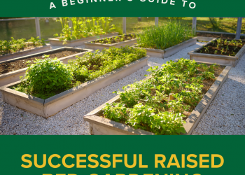 Espoma | Rising Pleasure with Maria – Episode 120 Weblog: Raised Mattress Gardening