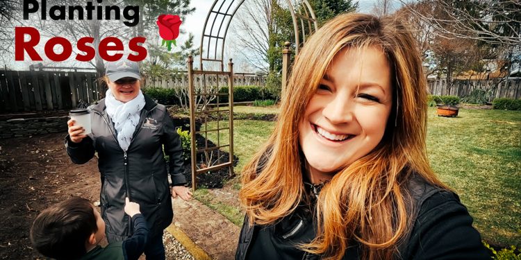 Espoma | VIDEO: Planting Roses ? // Backyard Reply