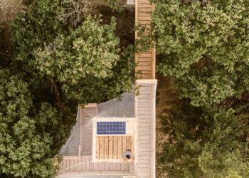 FLORA is a mass timber analysis pavilion in Barcelona’s forest cover