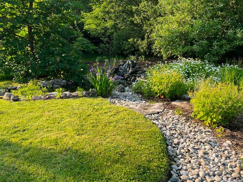 Helen’s Principally Native Backyard – FineGardening
