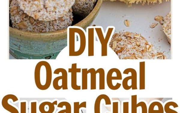 DIY Oatmeal Sugar Cubes For Dry Pores and skin – Tub and Physique