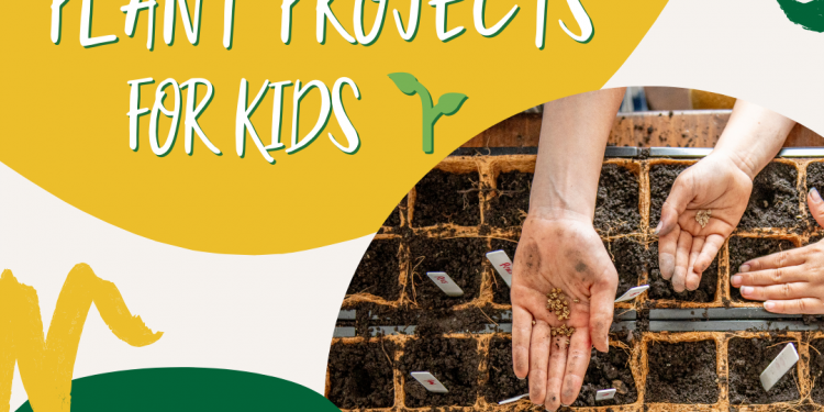 Rising Pleasure with Maria Weblog: Indoor Plant Initiatives for Youngsters