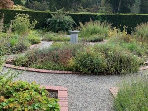 GPOD on the Street: College of BC Botanical Backyard, Half 2
