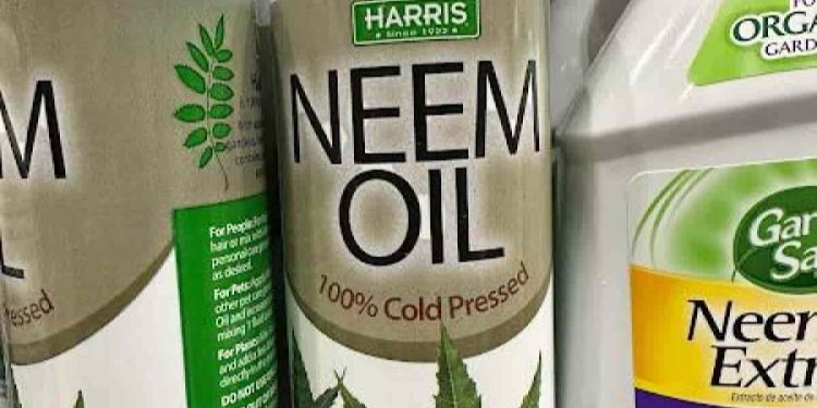 What Are Pure Options To Neem Oil For Plant Care