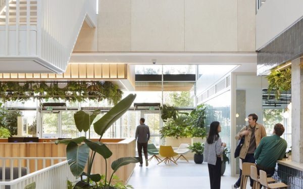 HawkinsBrown renovates places of work to create a “connection to nature”