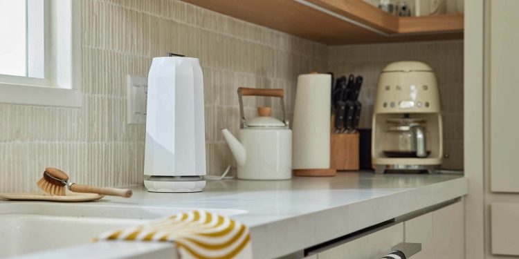 Air purifying merchandise that couple good design with expertise