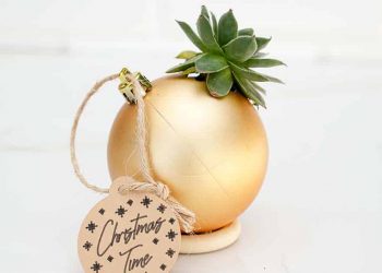 Succulent Christmas Decoration Craft – DIY & Crafts