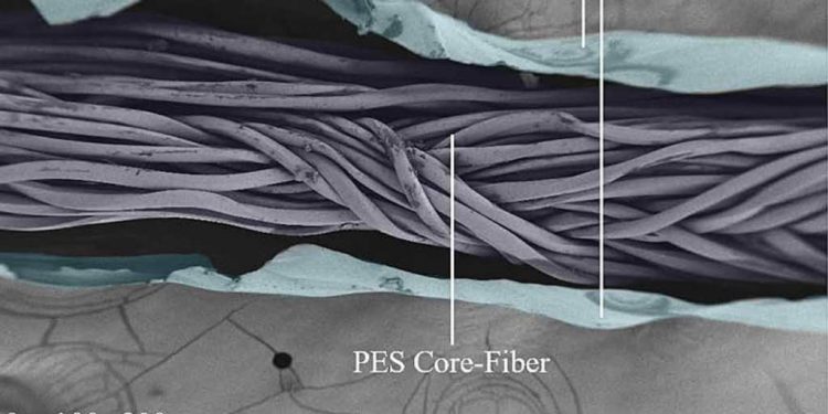 Turning reinforcing fibers right into a residing tissue system that rushes concrete-healing micro organism to the location of cracks to restore the harm