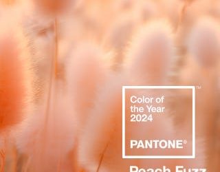 Do You Pay Consideration To The “Coloration Of The 12 months”? (And What Coloration Aversions Do You Have From Traits Of The Previous?)