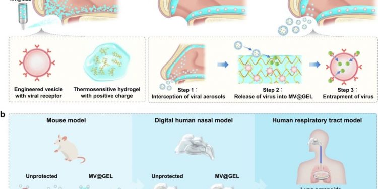Defending the respiratory tract from viral aerosols together with Covid with a novel intranasal masks