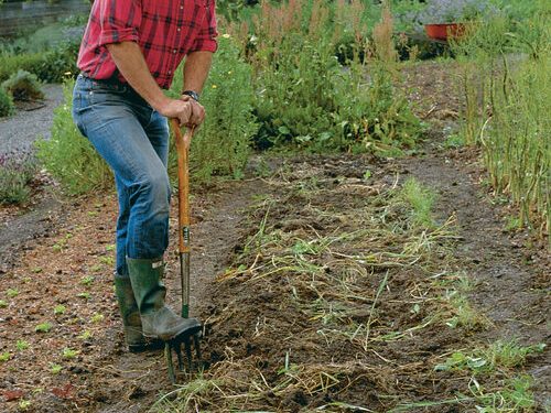 Study to Construct Higher Soil