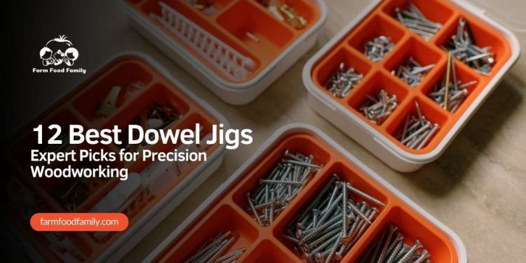 Knowledgeable Picks for Precision Woodworking in 2024