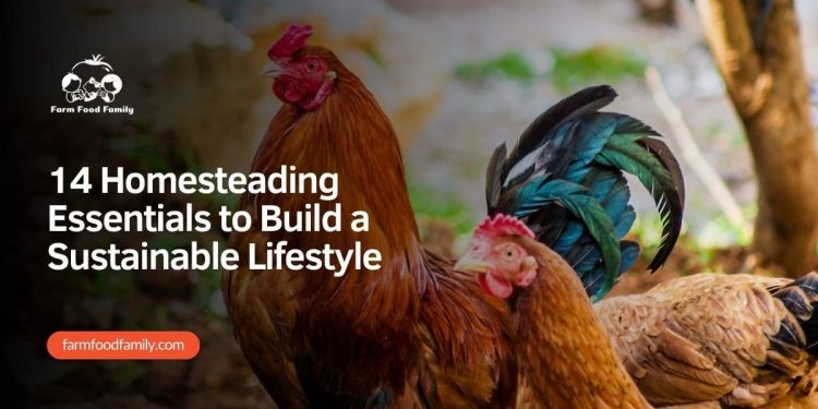 14 Homesteading Necessities to Construct a Sustainable Life-style