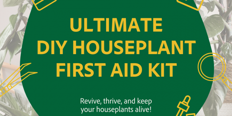 Rising Pleasure with Maria Weblog – DIY Houseplant First Support Package