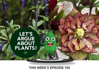 Episode 155: Deer-Resistant Favorites – FineGardening