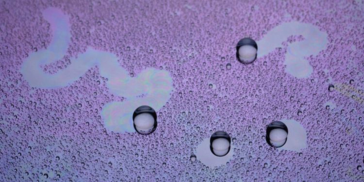 A extra environment friendly approach to seize recent water from the air